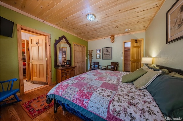 361 Crystal Peak Rd, Florissant, CO 80816 - photo 29