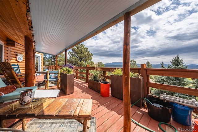 361 Crystal Peak Rd, Florissant, CO 80816 - photo 31