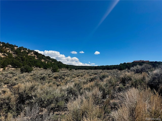 LOT3817 Fontaine Rd, Fort Garland, CO 81133 - photo 4