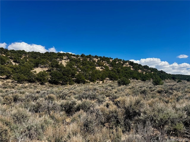 LOT3817 Fontaine Rd, Fort Garland, CO 81133 - photo 5