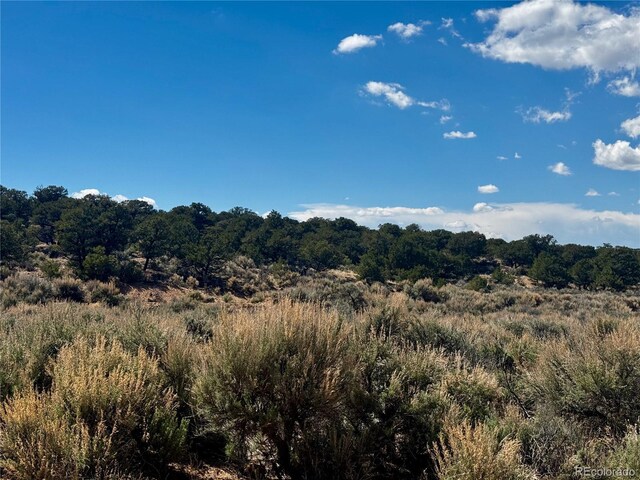 LOT3817 Fontaine Rd, Fort Garland, CO 81133 - photo 6