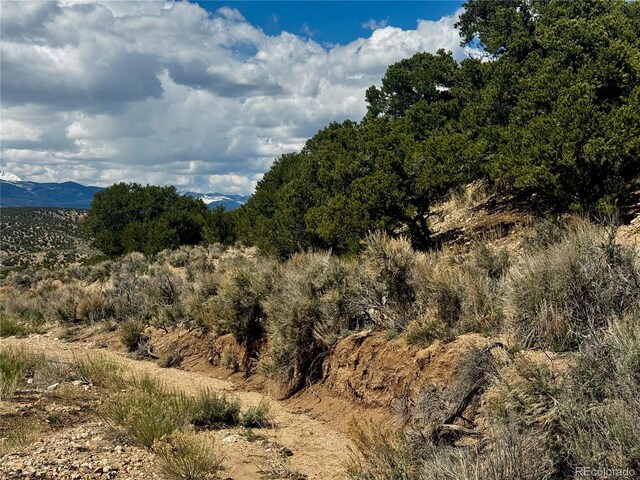 LOT3817 Fontaine Rd, Fort Garland, CO 81133 - photo 8