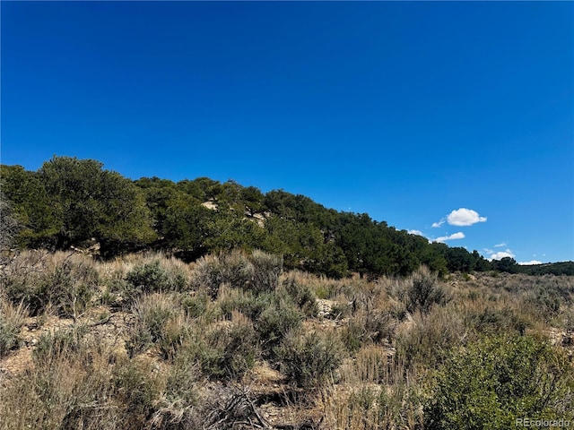 LOT3817 Fontaine Rd, Fort Garland, CO 81133 - photo 10