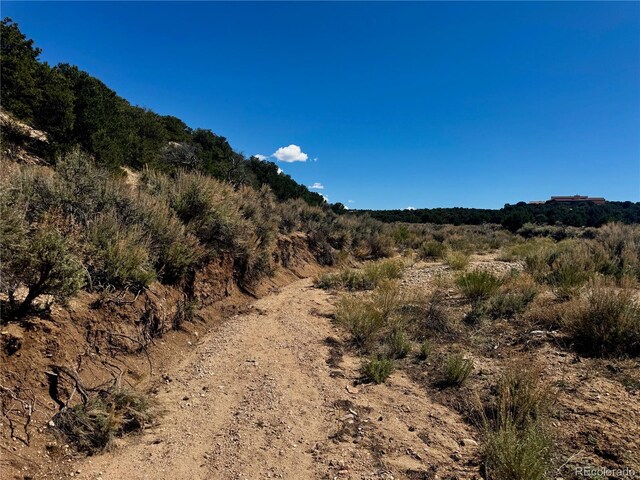 LOT3817 Fontaine Rd, Fort Garland, CO 81133 - photo 11