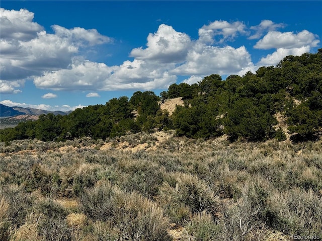 LOT3817 Fontaine Rd, Fort Garland, CO 81133 - photo 13