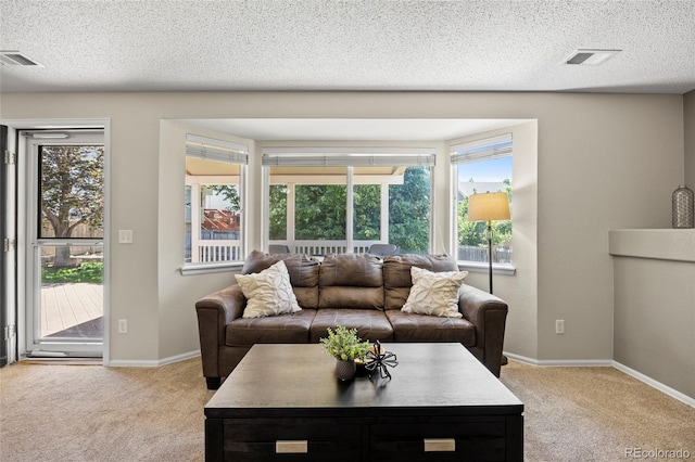 20858 E Progress Ave, Centennial, CO 80015 - living area featuring carpet floors and a textured ceiling