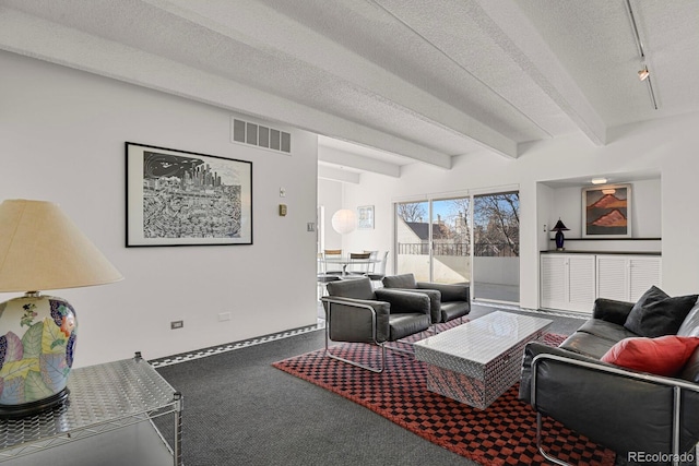 living room with carpet, beam ceiling, a textured ceiling, and track lighting