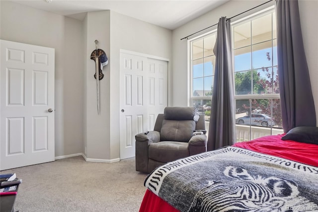 207 Harrow Ct, Brighton, CO 80601 - photo 19