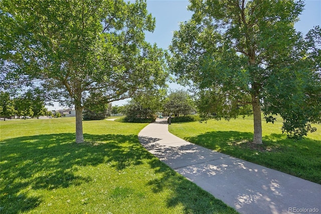207 Harrow Ct, Brighton, CO 80601 - photo 42