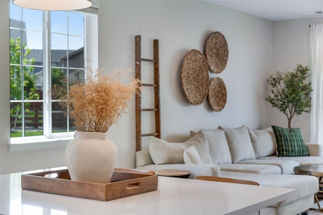 944 Alpine Ridge St, Erie, CO 80516 - view of living area