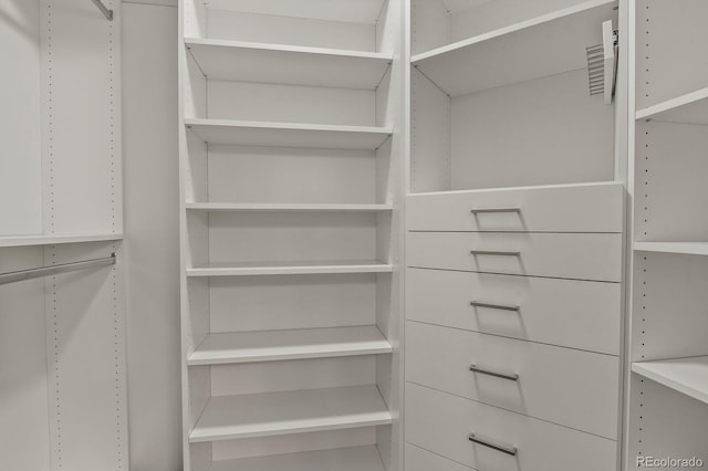 6868 Los Reyes Cir, Colorado Springs, CO 80918 - view of spacious closet