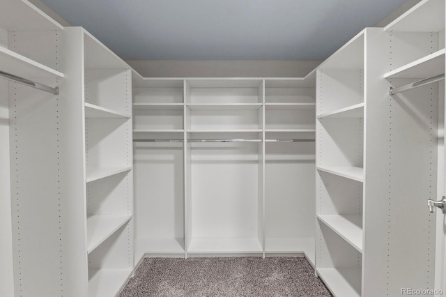 6868 Los Reyes Cir, Colorado Springs, CO 80918 - walk in closet featuring carpet