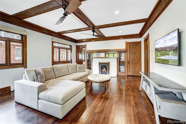 living room featuring beamed ceiling, ceiling fan, dark hardwood / wood-style floors, and coffered ceiling