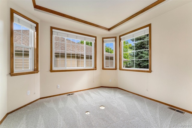6323 S Sicily Way, Aurora, CO 80016 - empty room with carpet flooring, baseboards, ornamental molding, and a tray ceiling