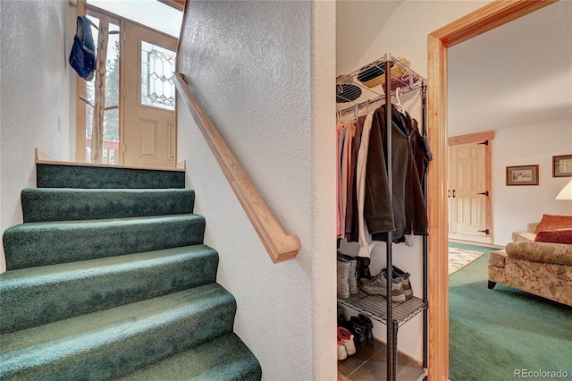 stairway with carpet flooring