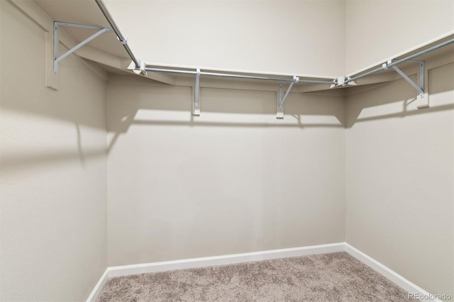 6153 N Ceylon St Unit 9204, Denver, CO 80249 - photo 16