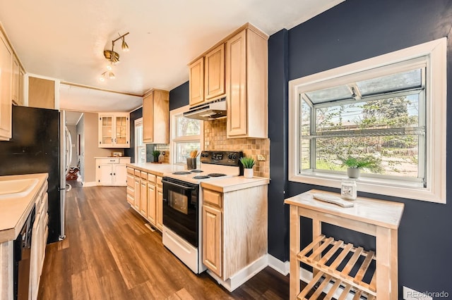 kitchen featuring electric stove, light brown cabinetry, under cabinet range hood, and wood finished floors