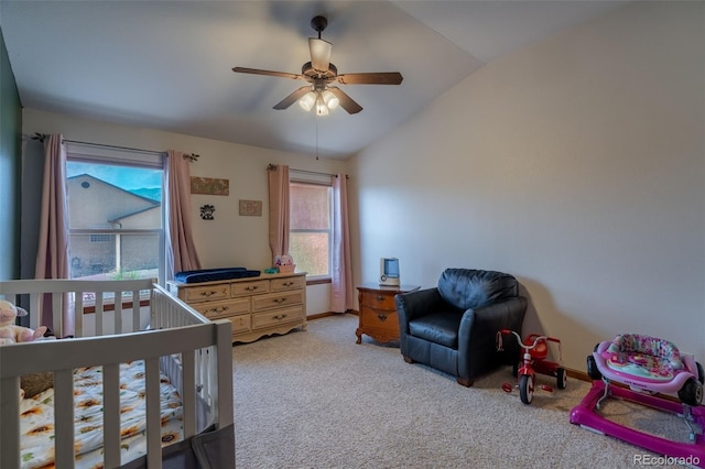 46 Wild Rose Dr, Canon City, CO 81212 - photo 24