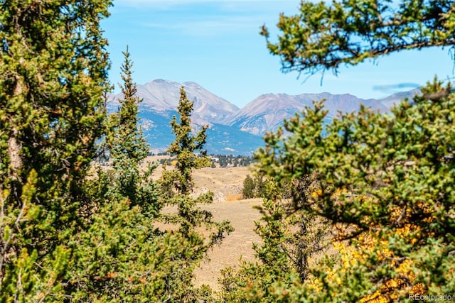937 Cumberland Dr, Jefferson, CO 80456 - photo 8