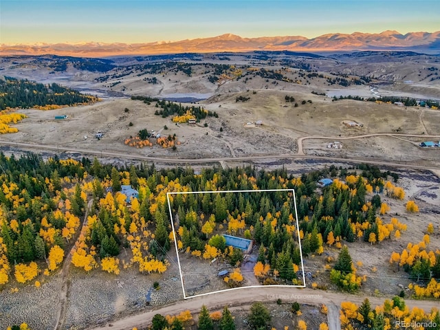 937 Cumberland Dr, Jefferson, CO 80456 - photo 38