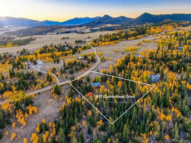 937 Cumberland Dr, Jefferson, CO 80456 - photo 39