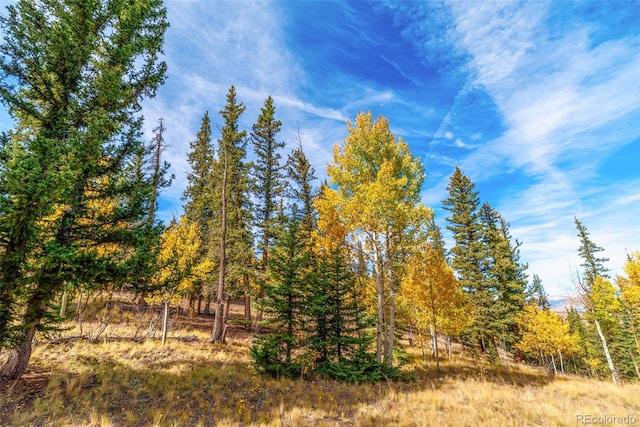 937 Cumberland Dr, Jefferson, CO 80456 - photo 44