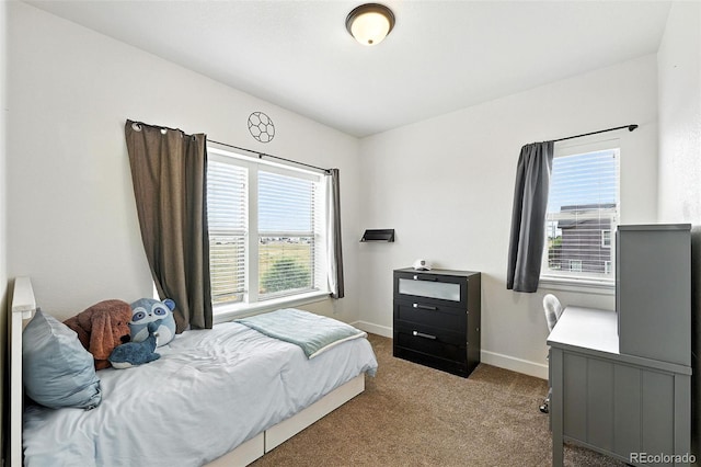 5207 Clinton St, Denver, CO 80238 - photo 24
