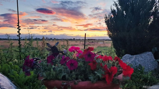 2832 County Road 20, Longmont, CO 80504
