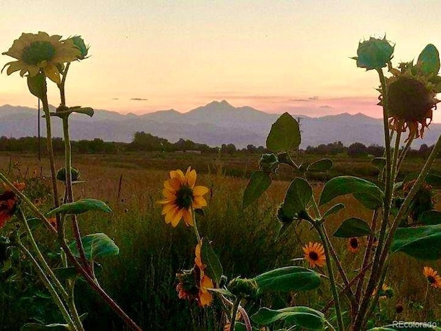 2832 County Road 20, Longmont, CO 80504