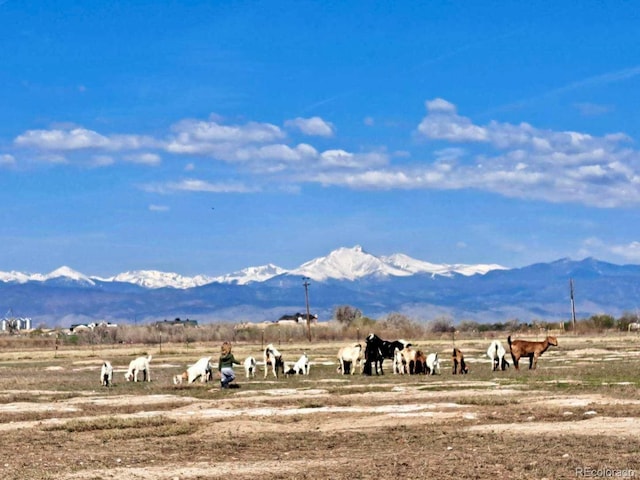 2832 County Road 20, Longmont, CO 80504