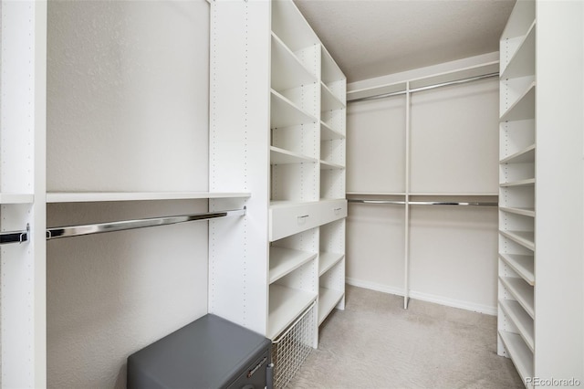 spacious closet with light carpet