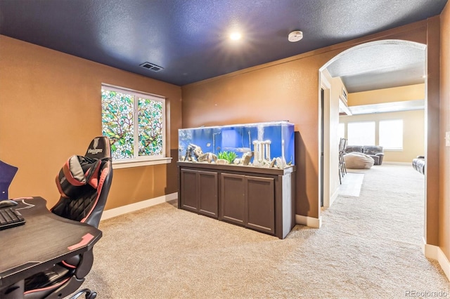 carpeted office space featuring a textured ceiling