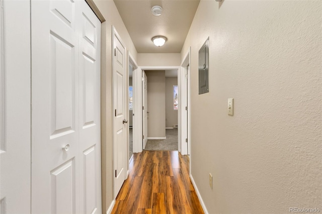 corridor featuring electric panel, baseboards, and dark wood-style flooring