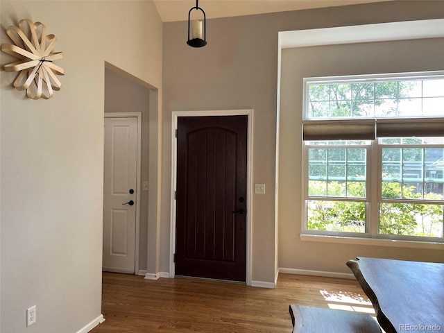 entryway featuring hardwood / wood-style floors