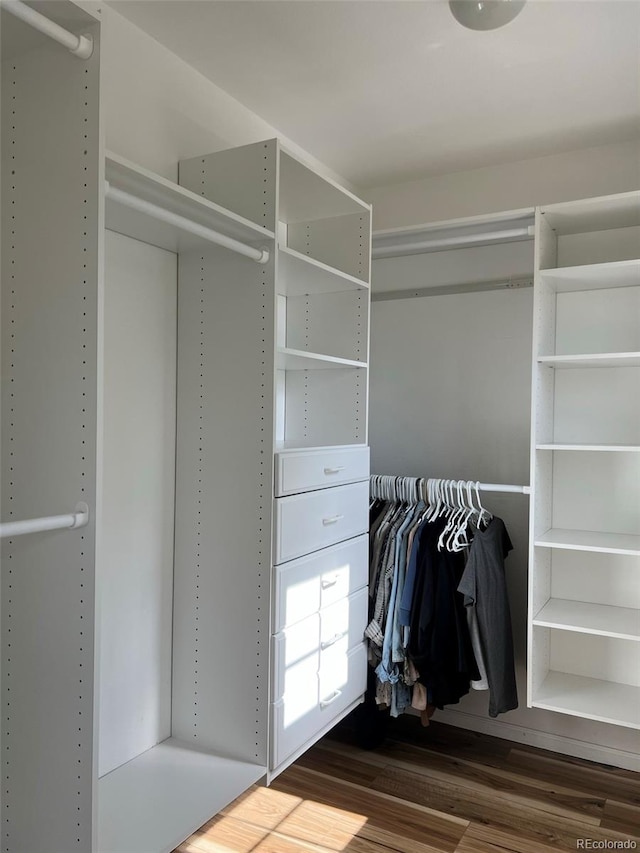 spacious closet featuring dark hardwood / wood-style floors