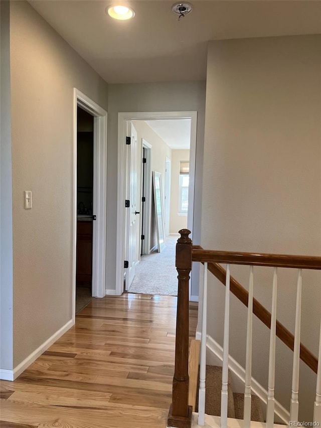 hall featuring light hardwood / wood-style floors