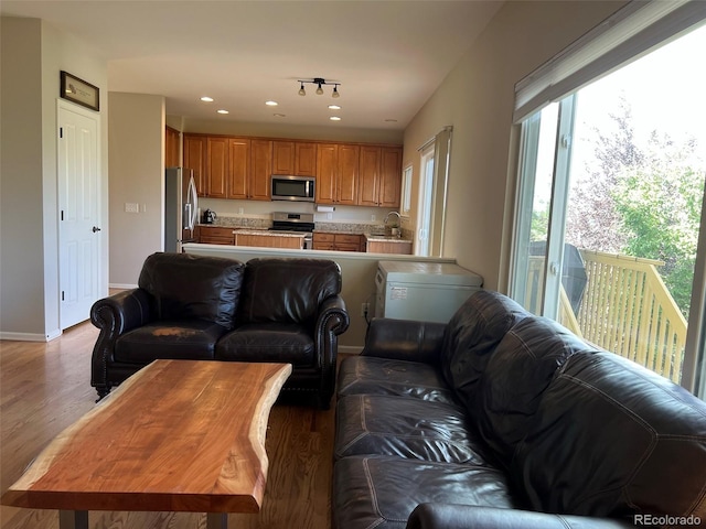 living room featuring plenty of natural light, light hardwood / wood-style floors, and sink