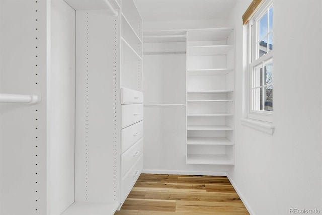 spacious closet with hardwood / wood-style flooring