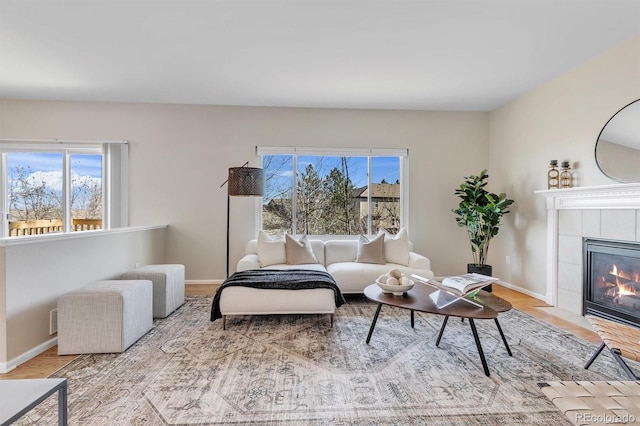 living room featuring wood-type flooring, a fireplace, and a healthy amount of sunlight