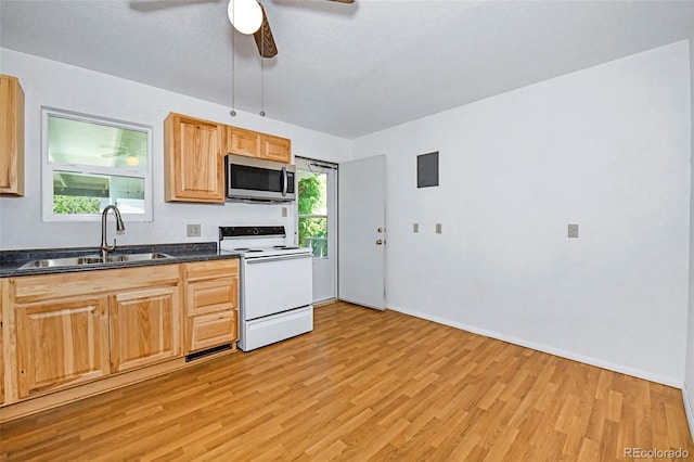 107 Hayes Dr, Colorado Springs, CO 80911 - photo 5