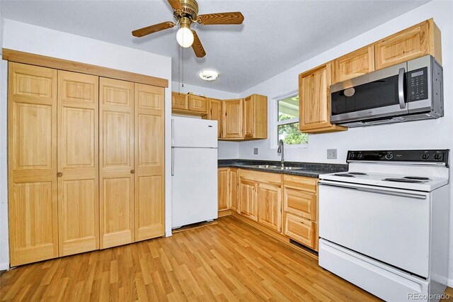107 Hayes Dr, Colorado Springs, CO 80911 - photo 6