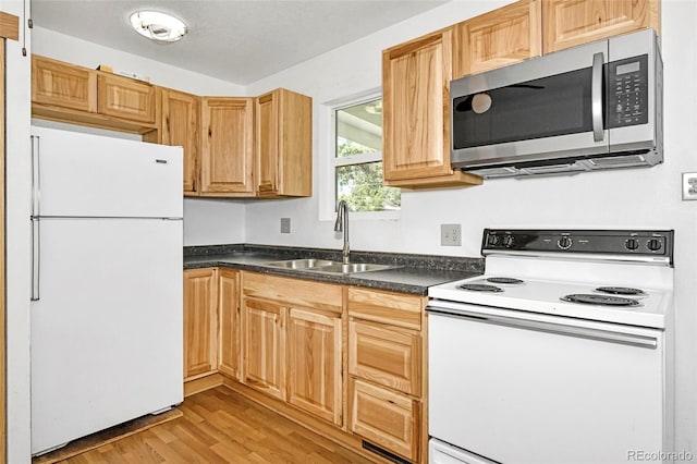 107 Hayes Dr, Colorado Springs, CO 80911 - photo 8