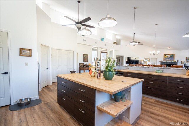 11865 Rangeview Cir, Salida, CO 81201 - kitchen featuring butcher block counters, a ceiling fan, open floor plan, dark brown cabinets, and wood finished floors