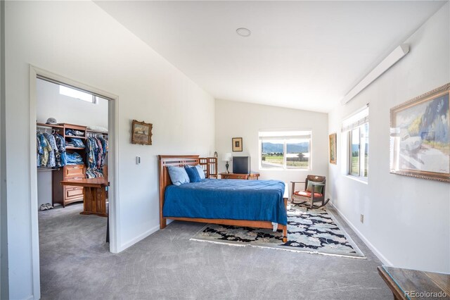 11865 Rangeview Cir, Salida, CO 81201 - bedroom with vaulted ceiling, carpet floors, a walk in closet, baseboards, and a closet