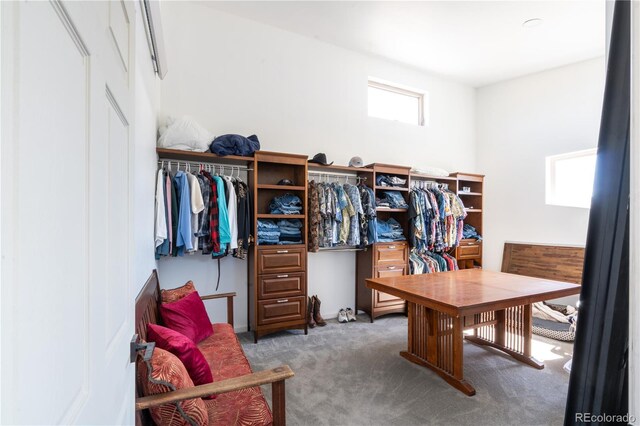 11865 Rangeview Cir, Salida, CO 81201 - office space featuring carpet flooring