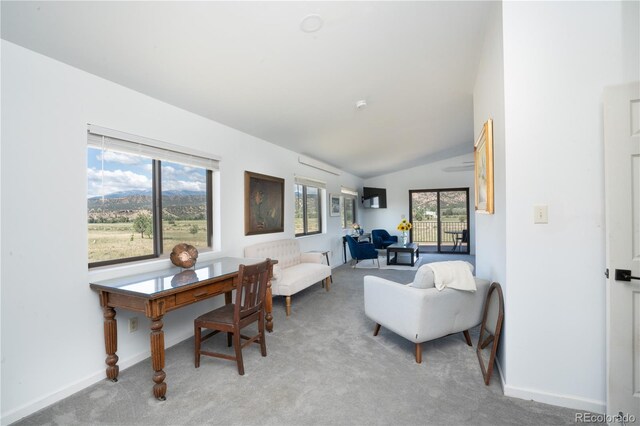 11865 Rangeview Cir, Salida, CO 81201 - office with light carpet, lofted ceiling, and baseboards