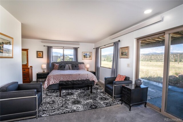 11865 Rangeview Cir, Salida, CO 81201 - carpeted bedroom featuring access to exterior