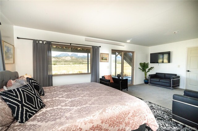 11865 Rangeview Cir, Salida, CO 81201 - carpeted bedroom featuring access to outside