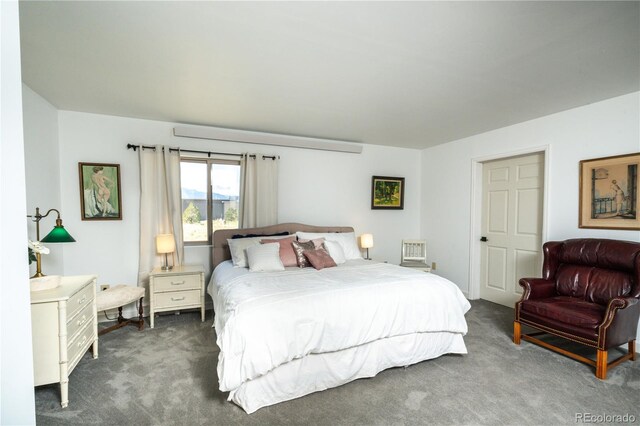 11865 Rangeview Cir, Salida, CO 81201 - bedroom with carpet flooring