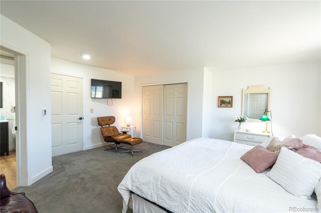 11865 Rangeview Cir, Salida, CO 81201 - carpeted bedroom with a closet and baseboards